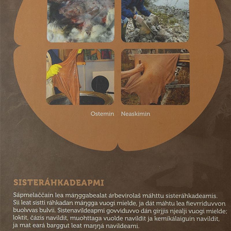 Sisterahkadeapmi -Skinngarving