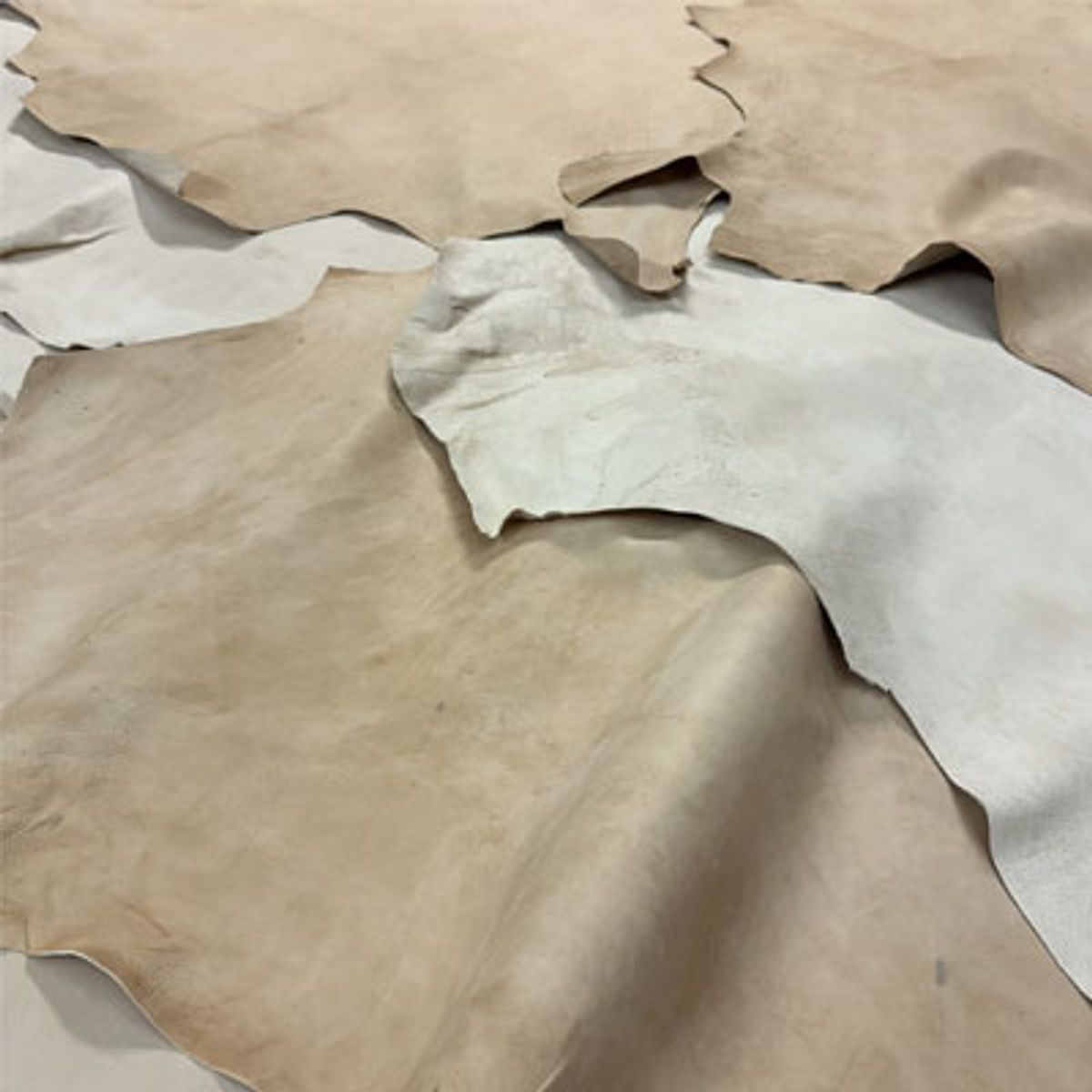 Rimelige reinskinn- Lys farge